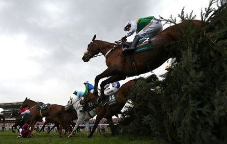 Buy Grand National Horse Racing  Tickets
